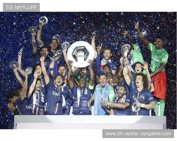 法甲里昂球队的财政健康状况与收支情况